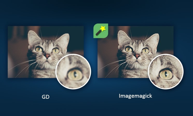 ماژول ImageMagick برای پرستاشاپ با تولیدکننده AJAX عکس با کیفیت بالا