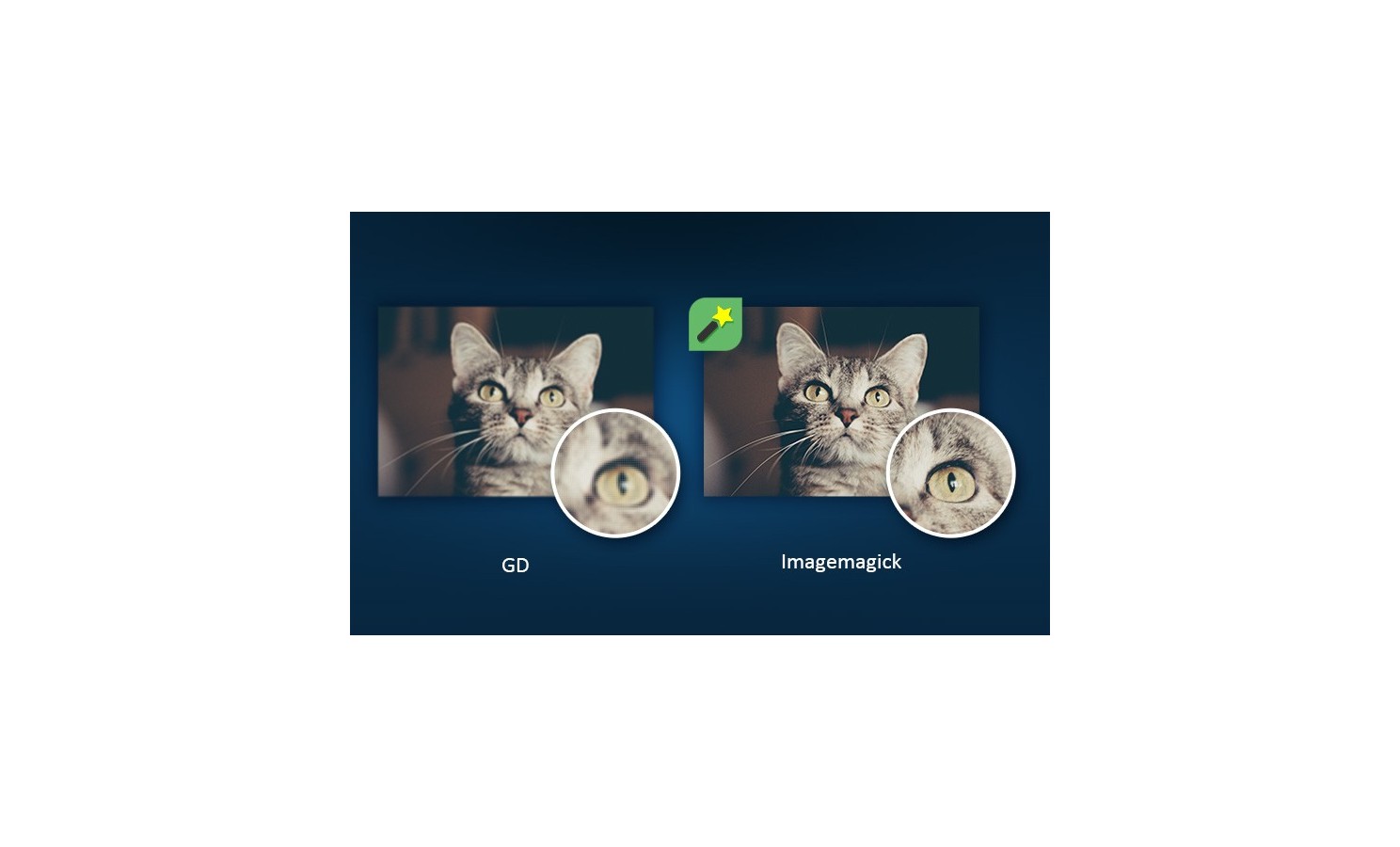 ماژول ImageMagick برای پرستاشاپ با تولیدکننده AJAX عکس با کیفیت بالا
