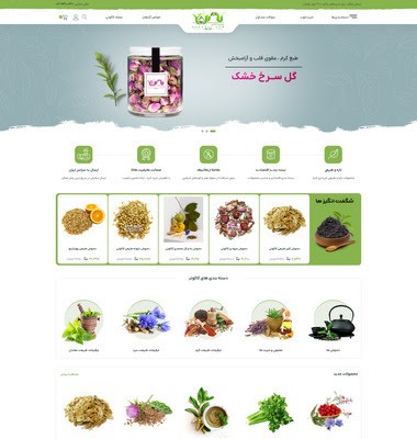 سایت کاکوتی